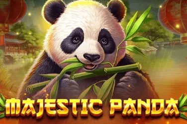 Pengguna menikmati hiburan sports dan casino lewat smartphone di tempat terbuka